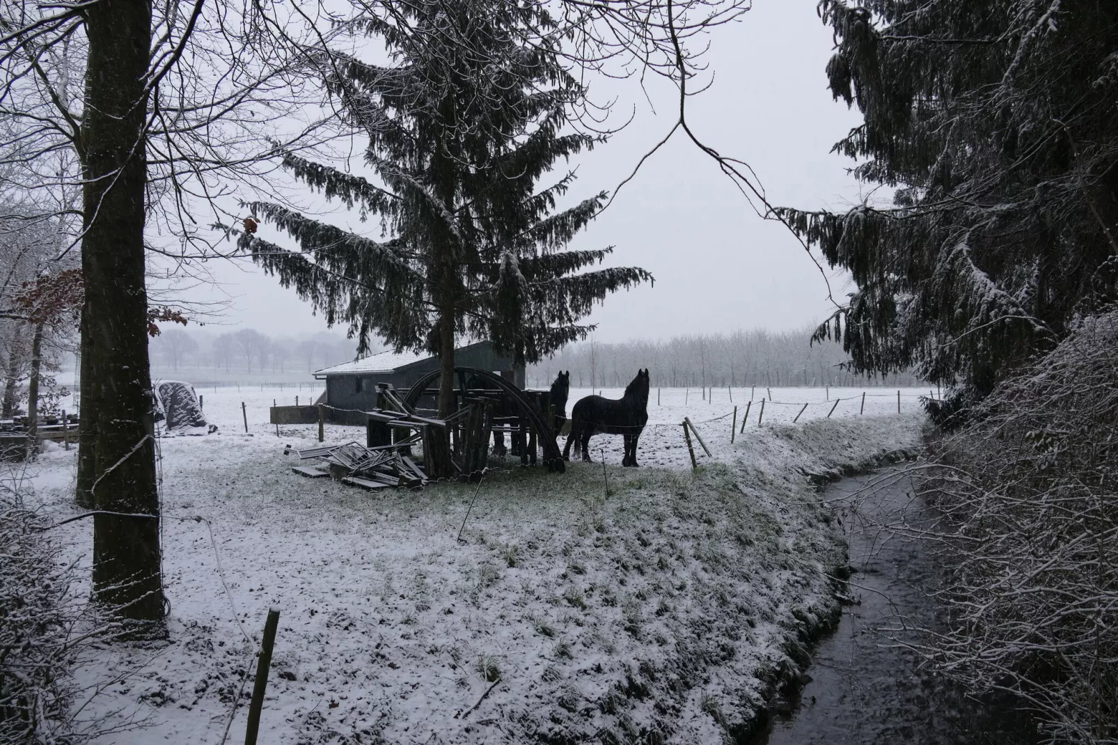 Meschermolen 10-Gebied winter 1km