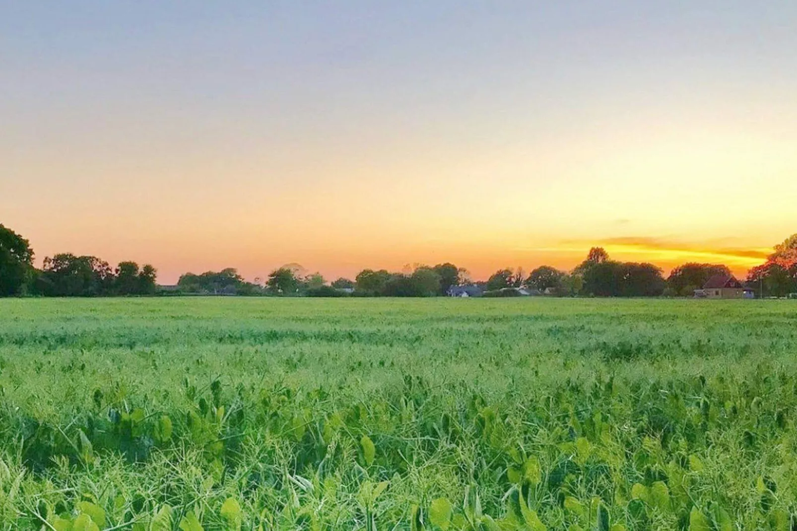 4 sterren vakantie huis in SÖLVESBORG-By Traum