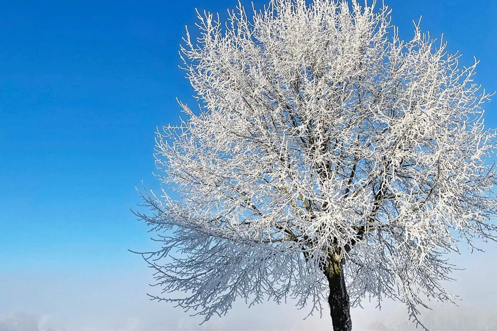 4 sterren vakantie huis in SÖLVESBORG-By Traum-Buitenlucht