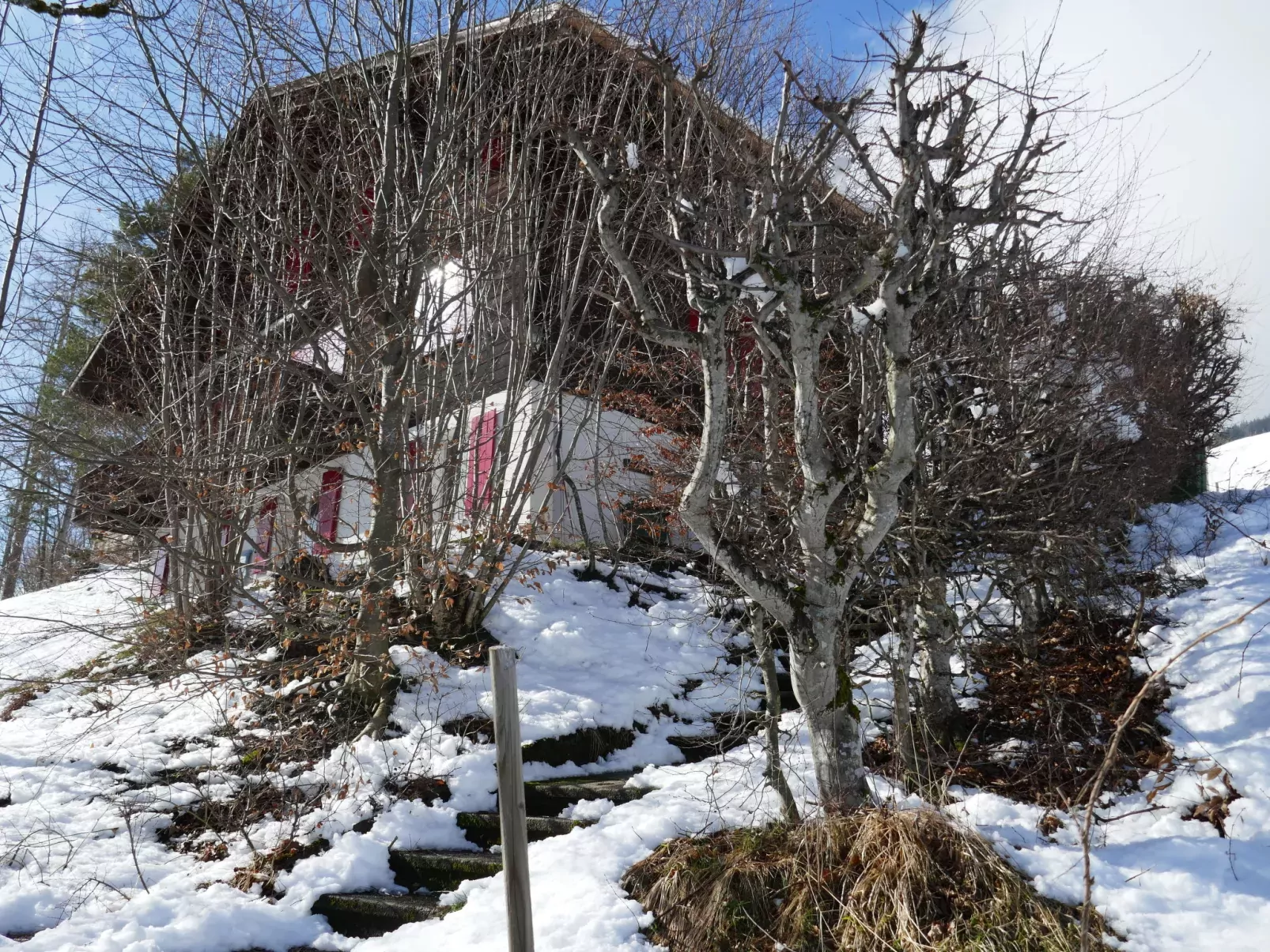 Chalet Colette-Buiten