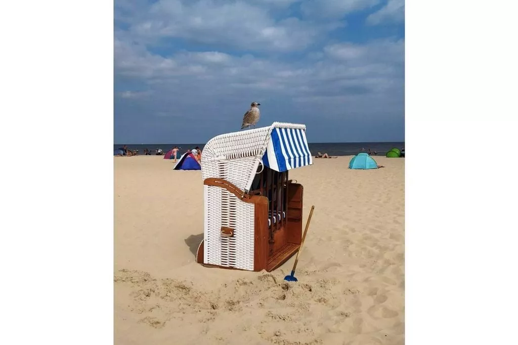 258629-Niet-getagd