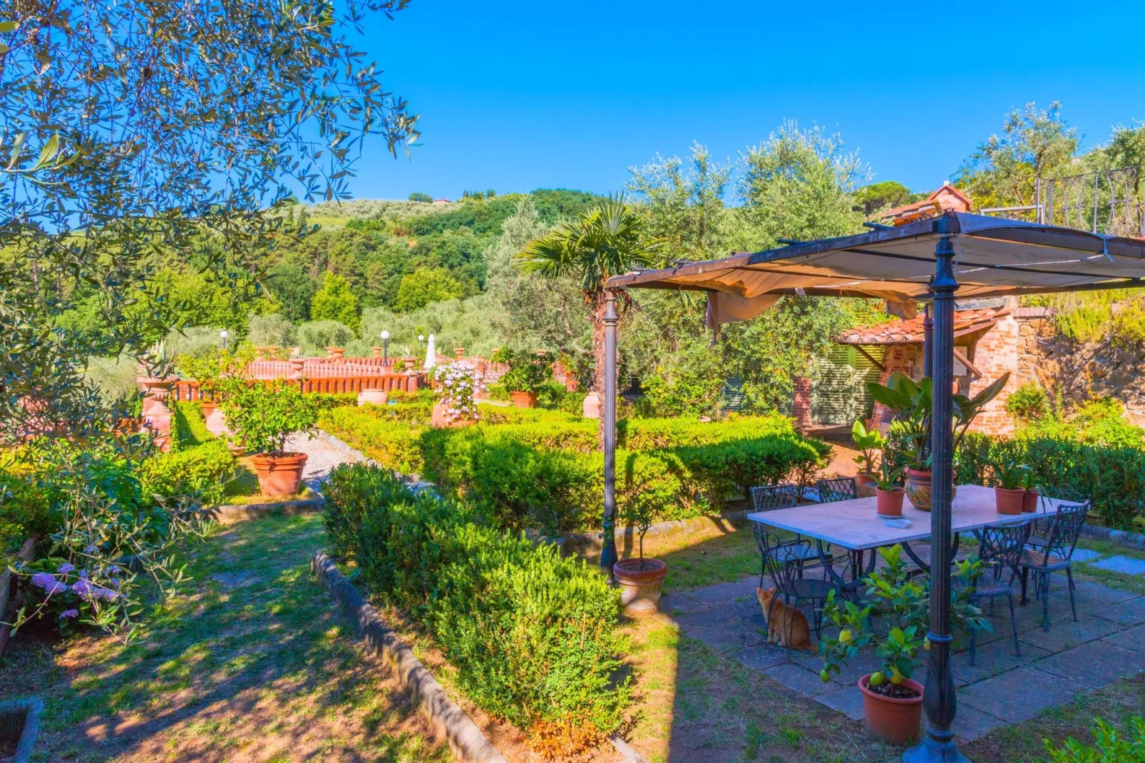 Papavero-Terrasbalkon