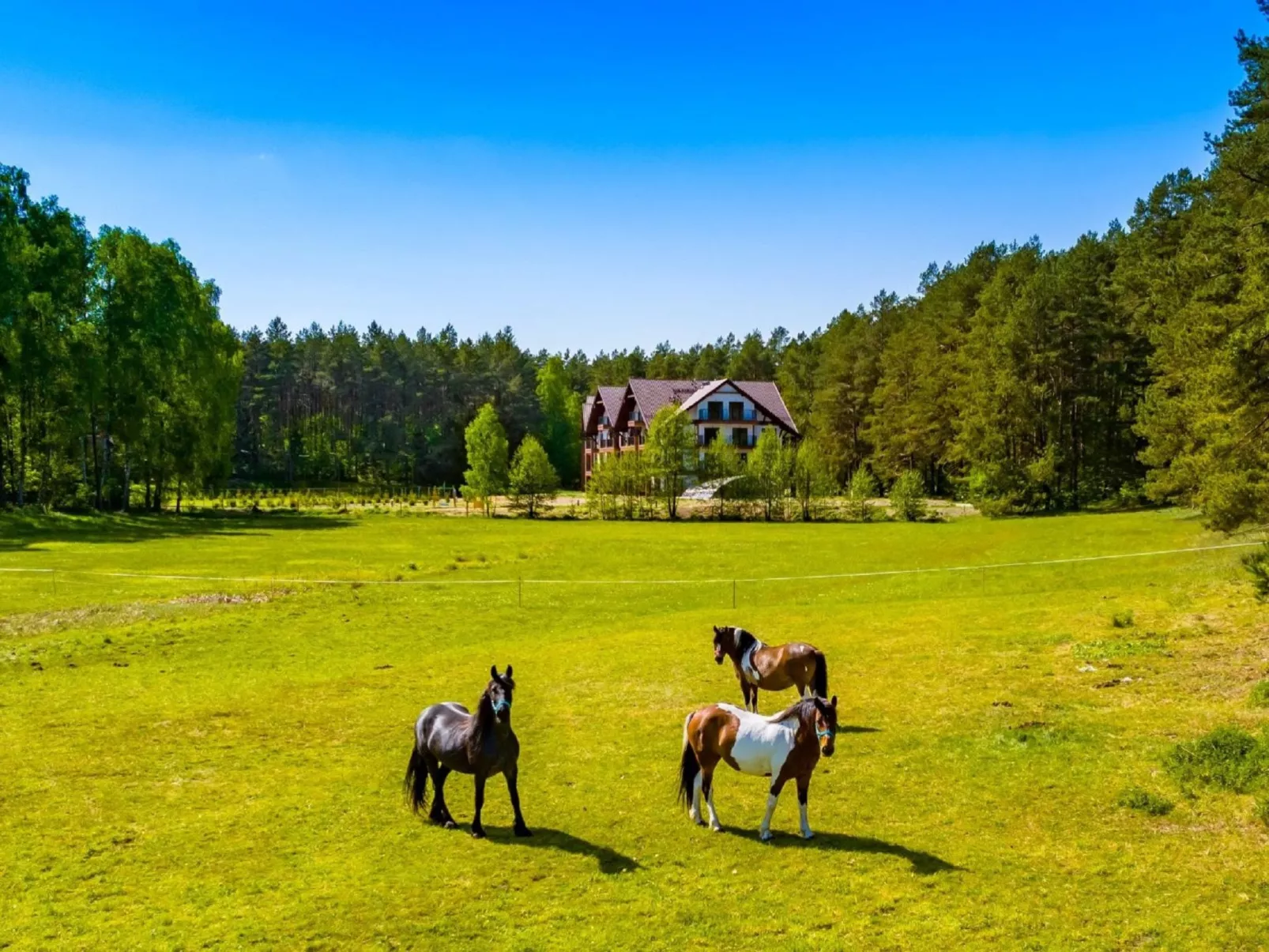 Zapach Lasu - Naturalne Spa-Buiten