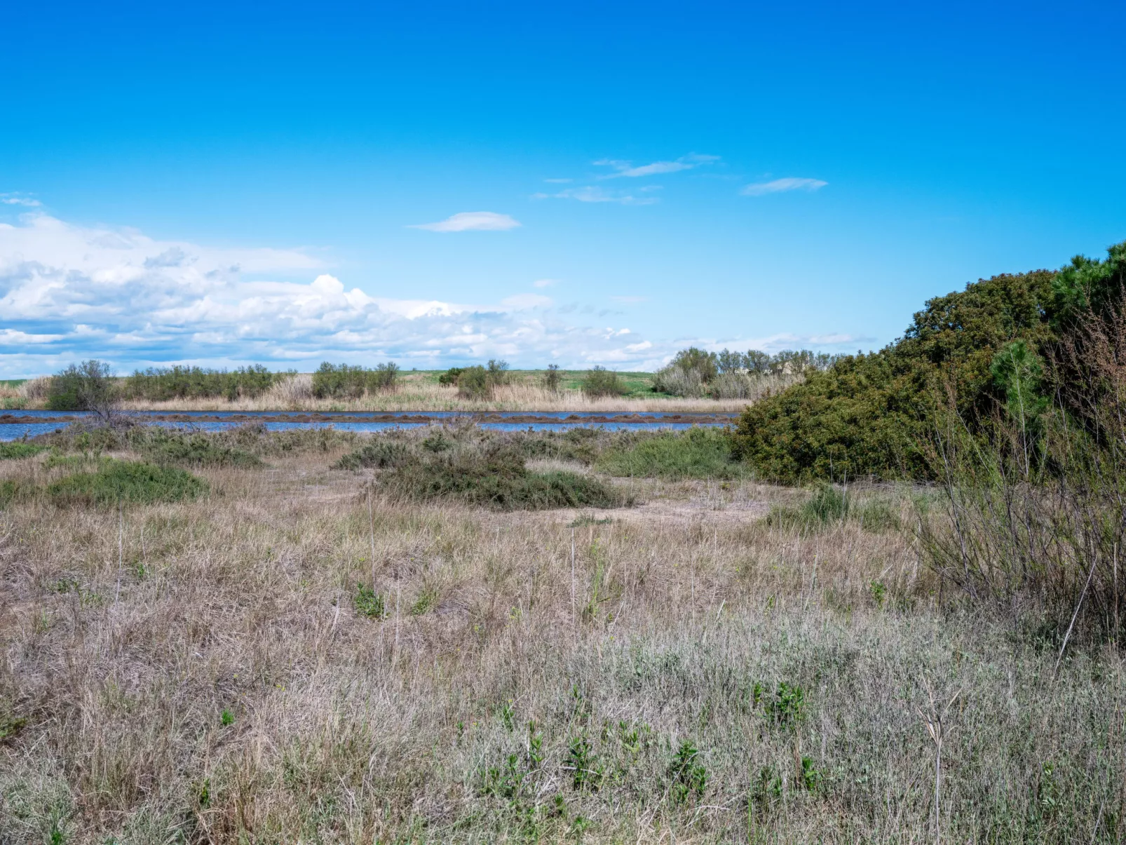 Le bord de l'Etang-Buiten