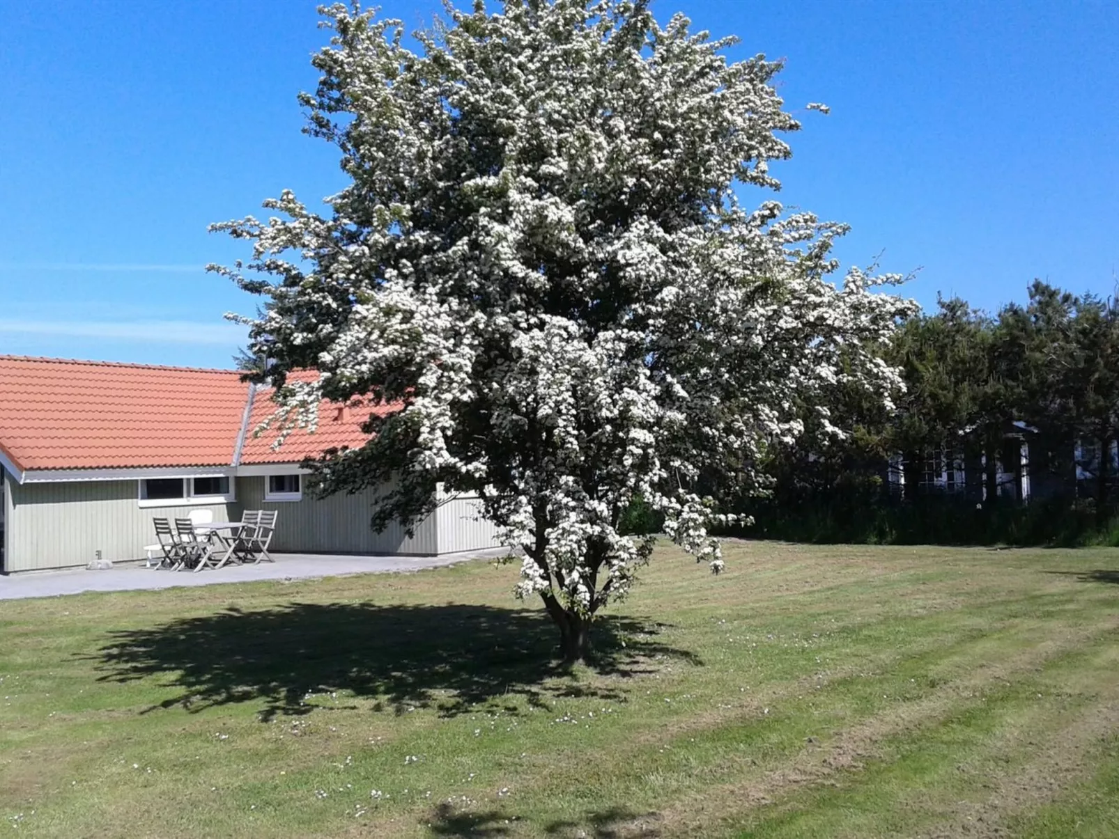 "Allita" - 12km from the sea-Buiten