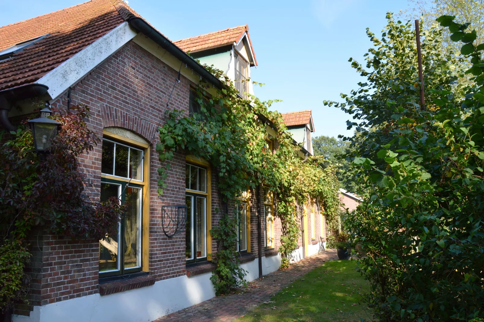 Gelink Hof-Buitenkant zomer