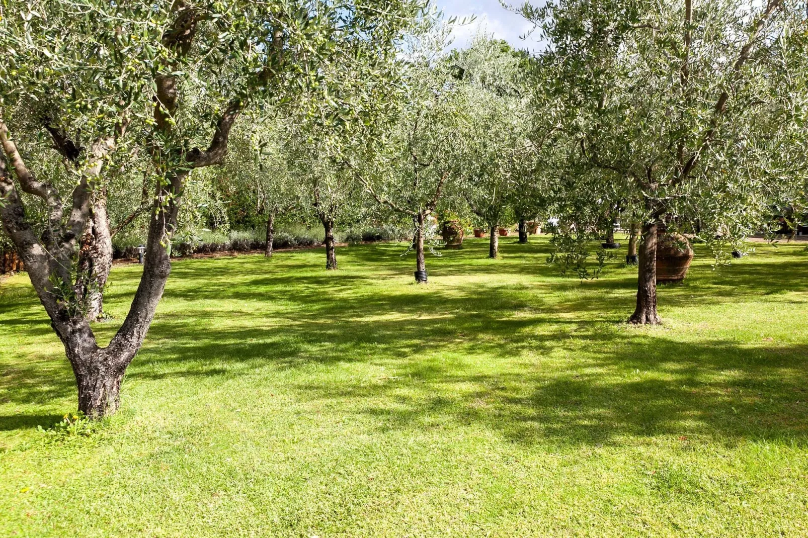 Il Belvedere-Gebieden zomer 1km
