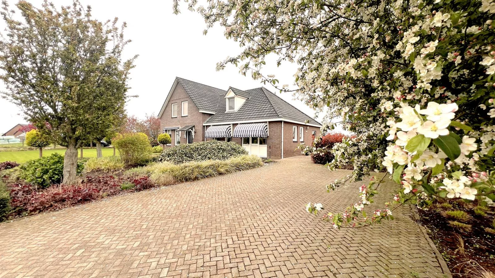 Het Edelhert