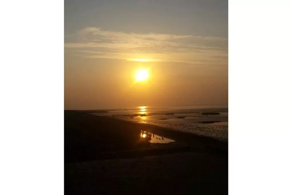 90385-Gebieden zomer 5km