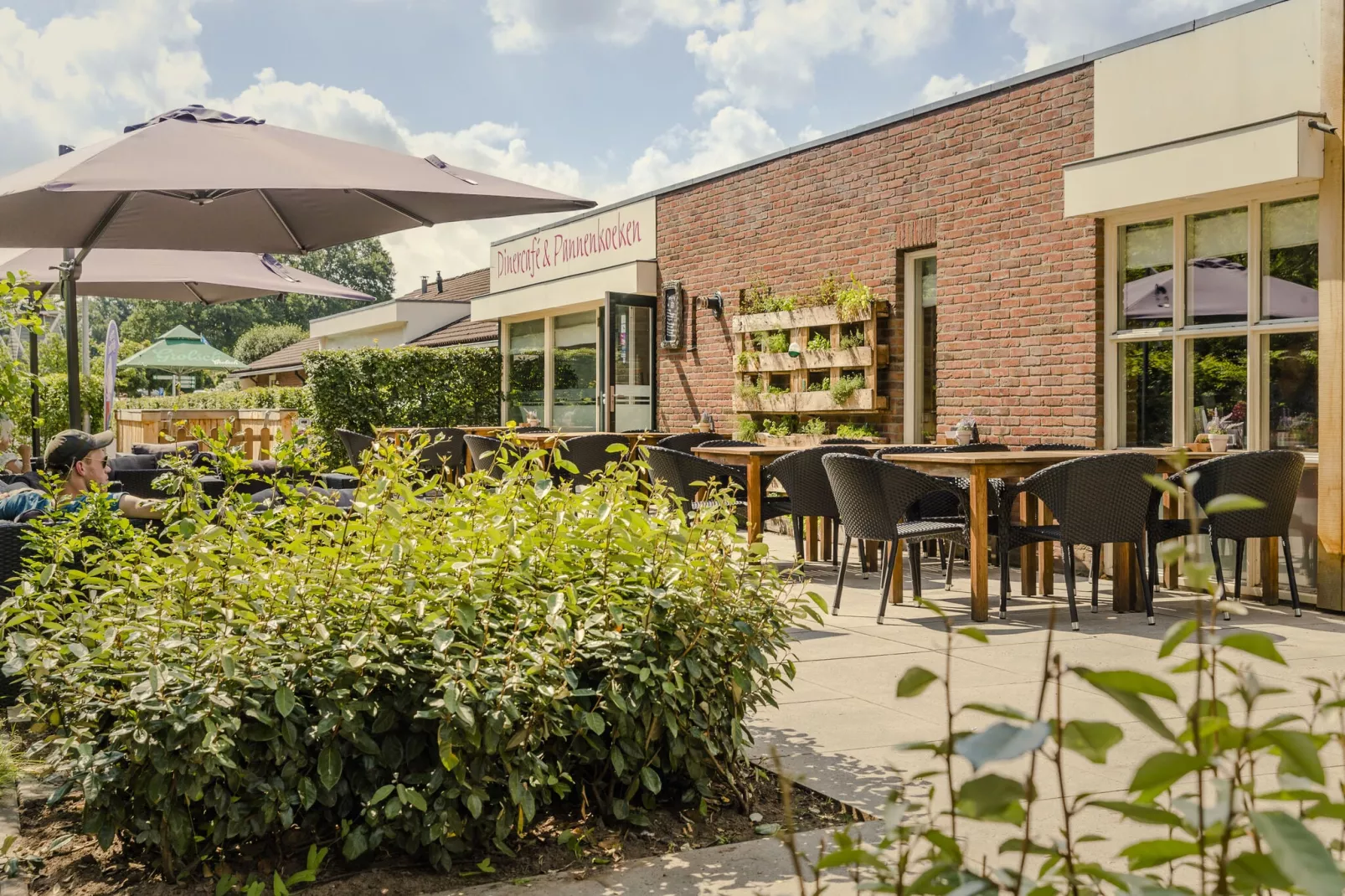 Vakantiepark Mölke 30-Gebieden zomer 1km