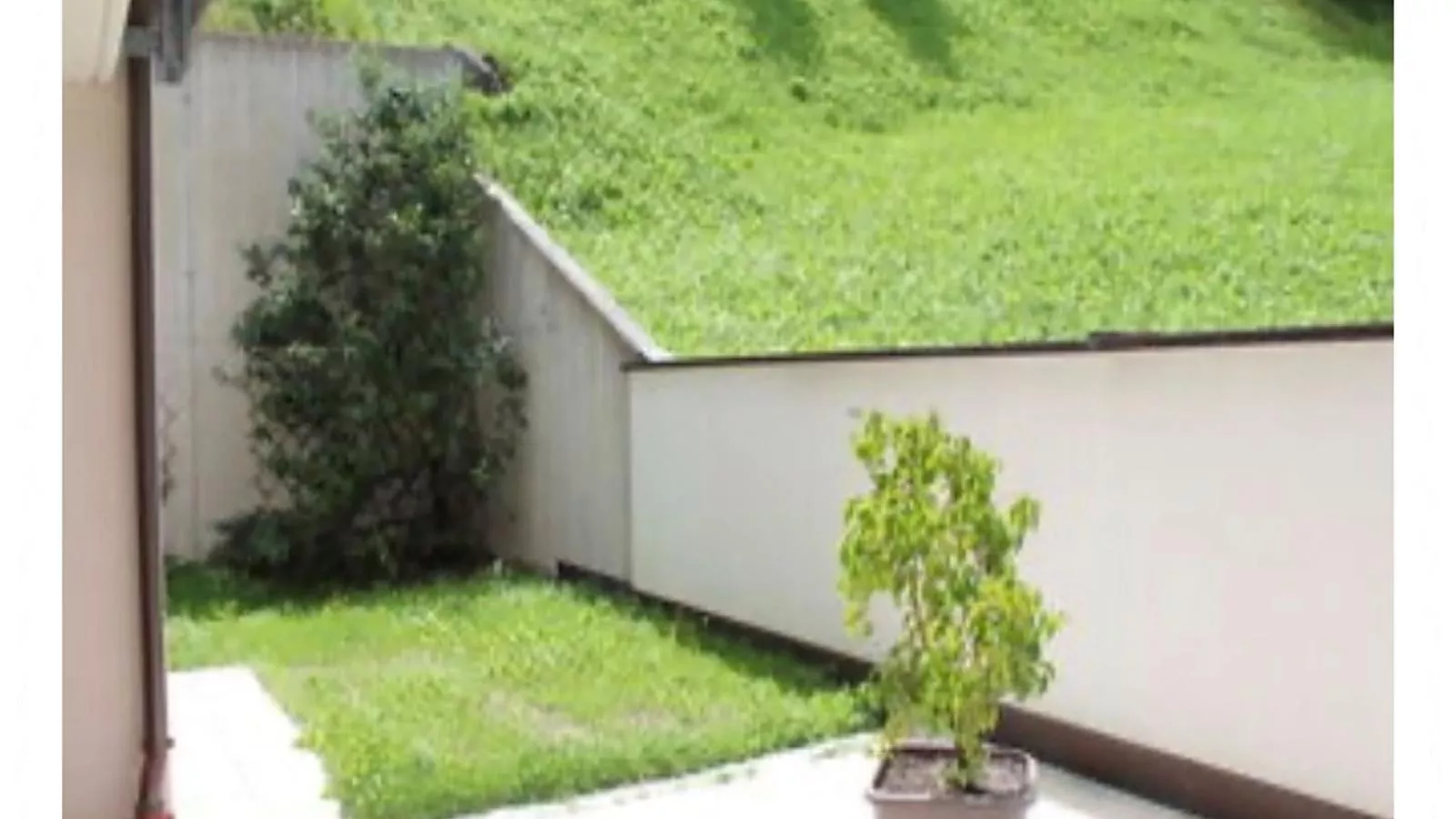 gardensummer