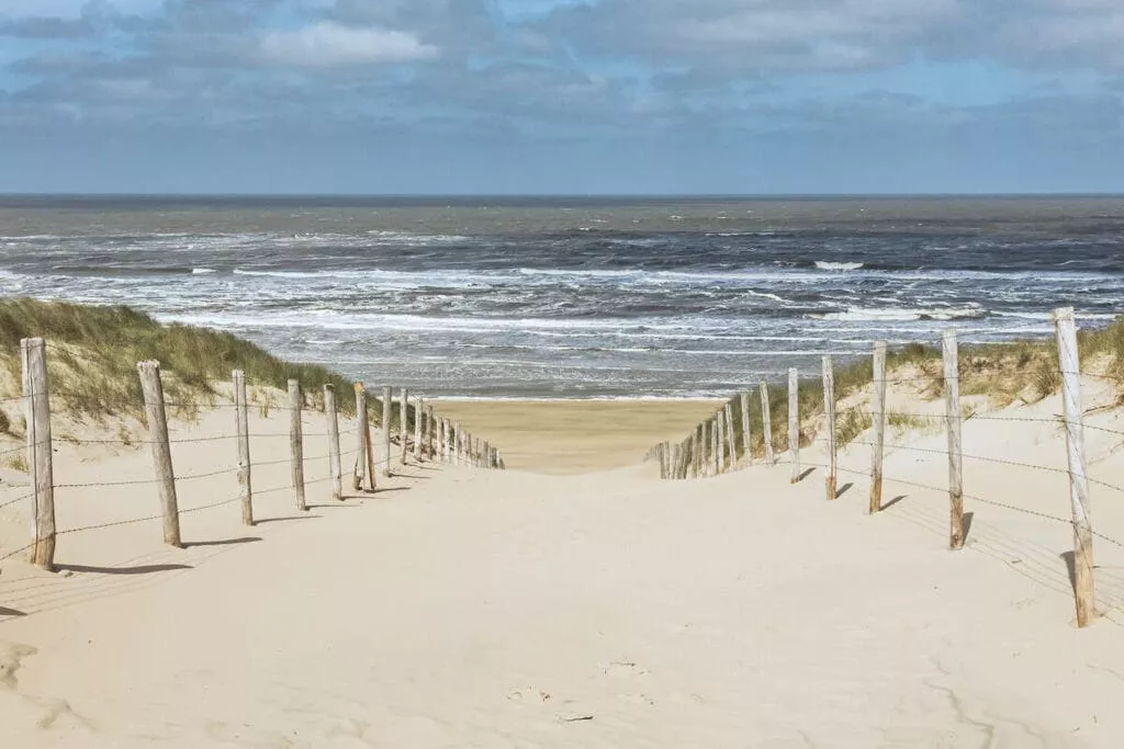 446864-Niet-getagd