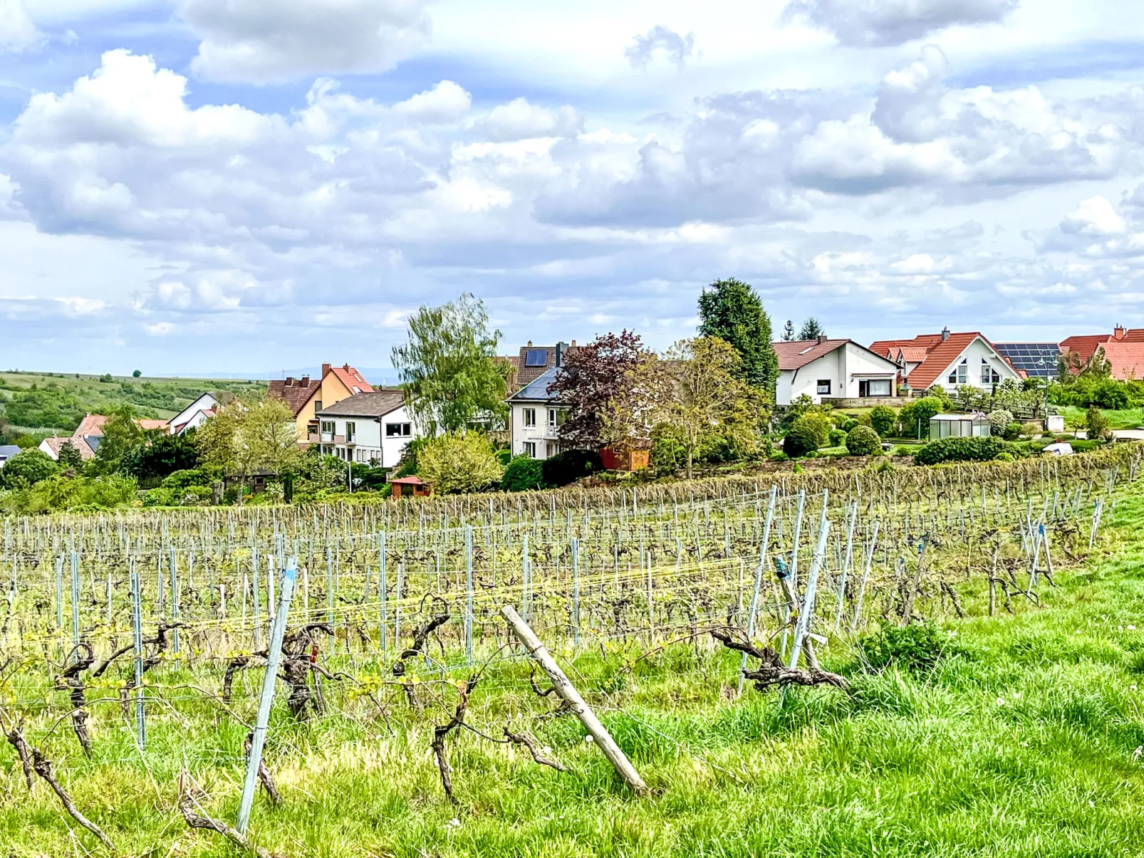 Am Weinberg-Buiten