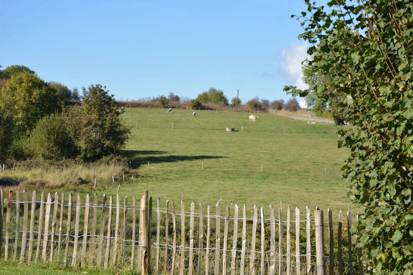 Le Gîte du Petit Culot-Uitzicht zomer