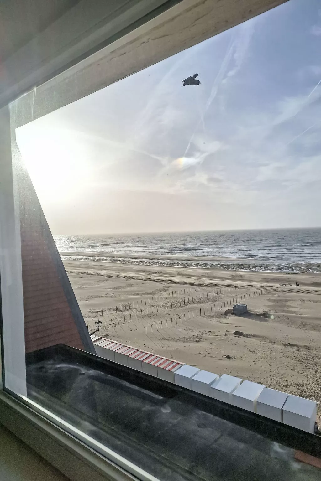 Koekoeksnest Penthouse at the beach-Buiten