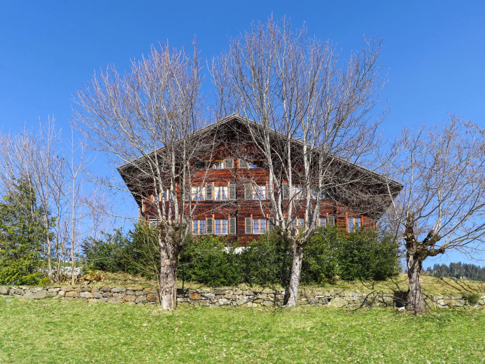 Chalet Ahorni-Buiten