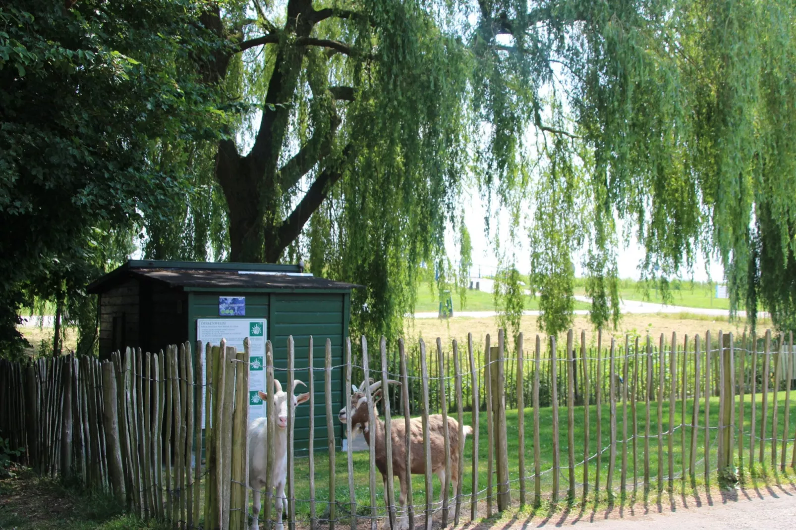4 pers Welness huis 93