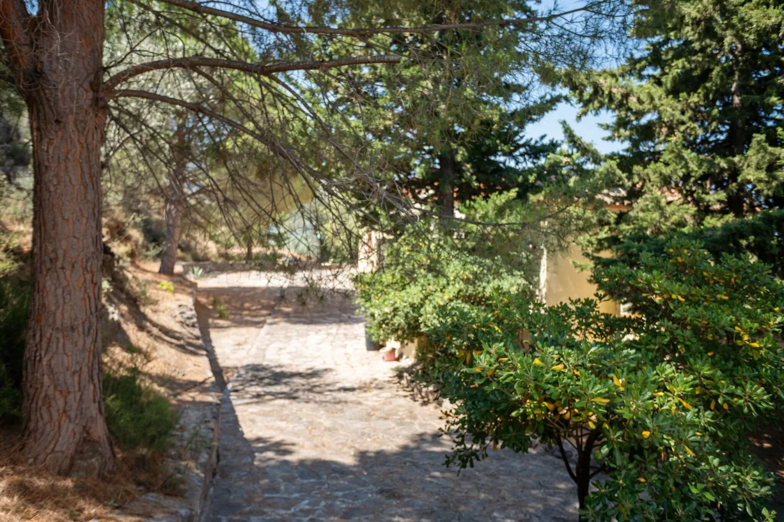 Aangename studio op Lesbos met een balkon-Tuinen zomer