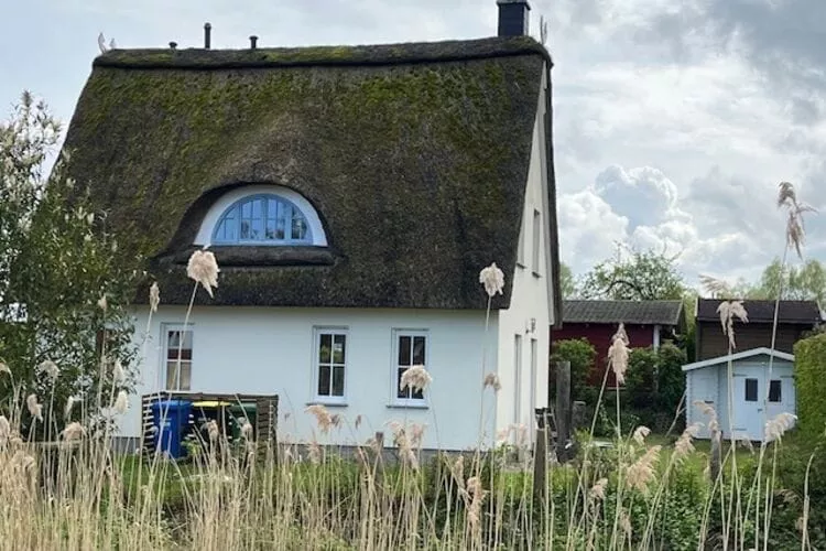 Ferienhaus Reetglück Wohlenberg-Buitenkant zomer