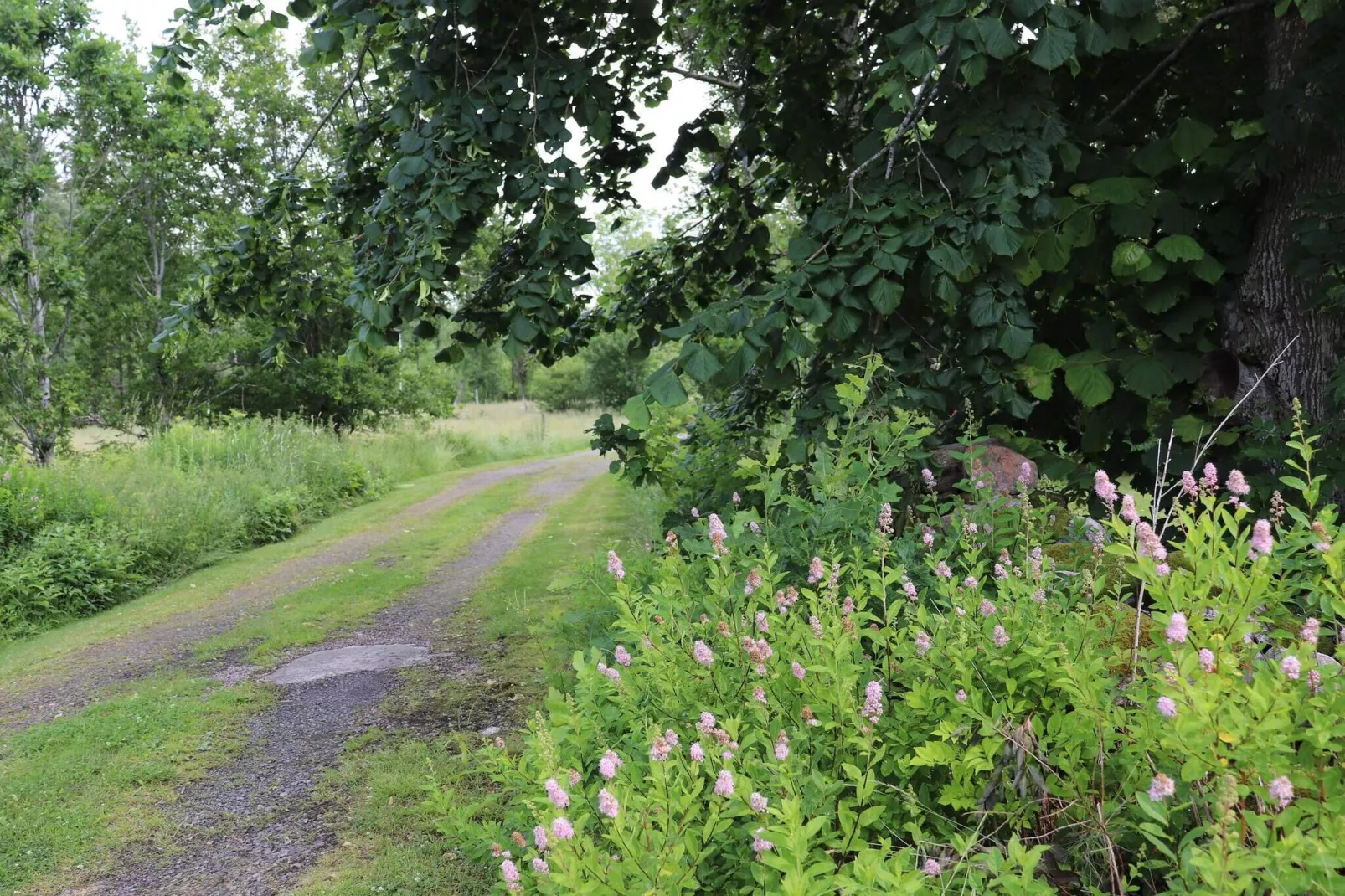 4 persoons vakantie huis in KARL GUSTAV-Buitenlucht