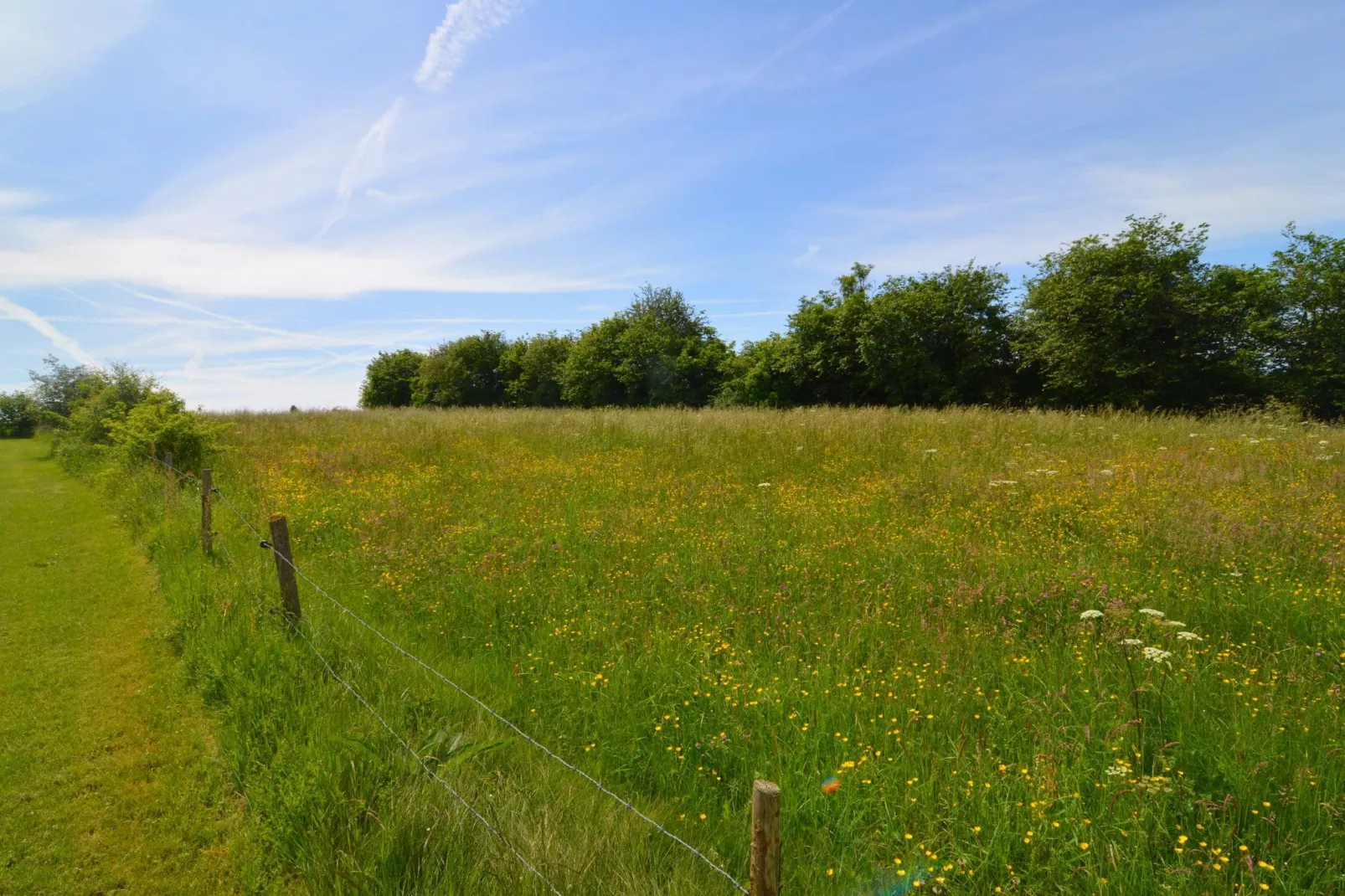 Wilogne - Uitzicht zomer
