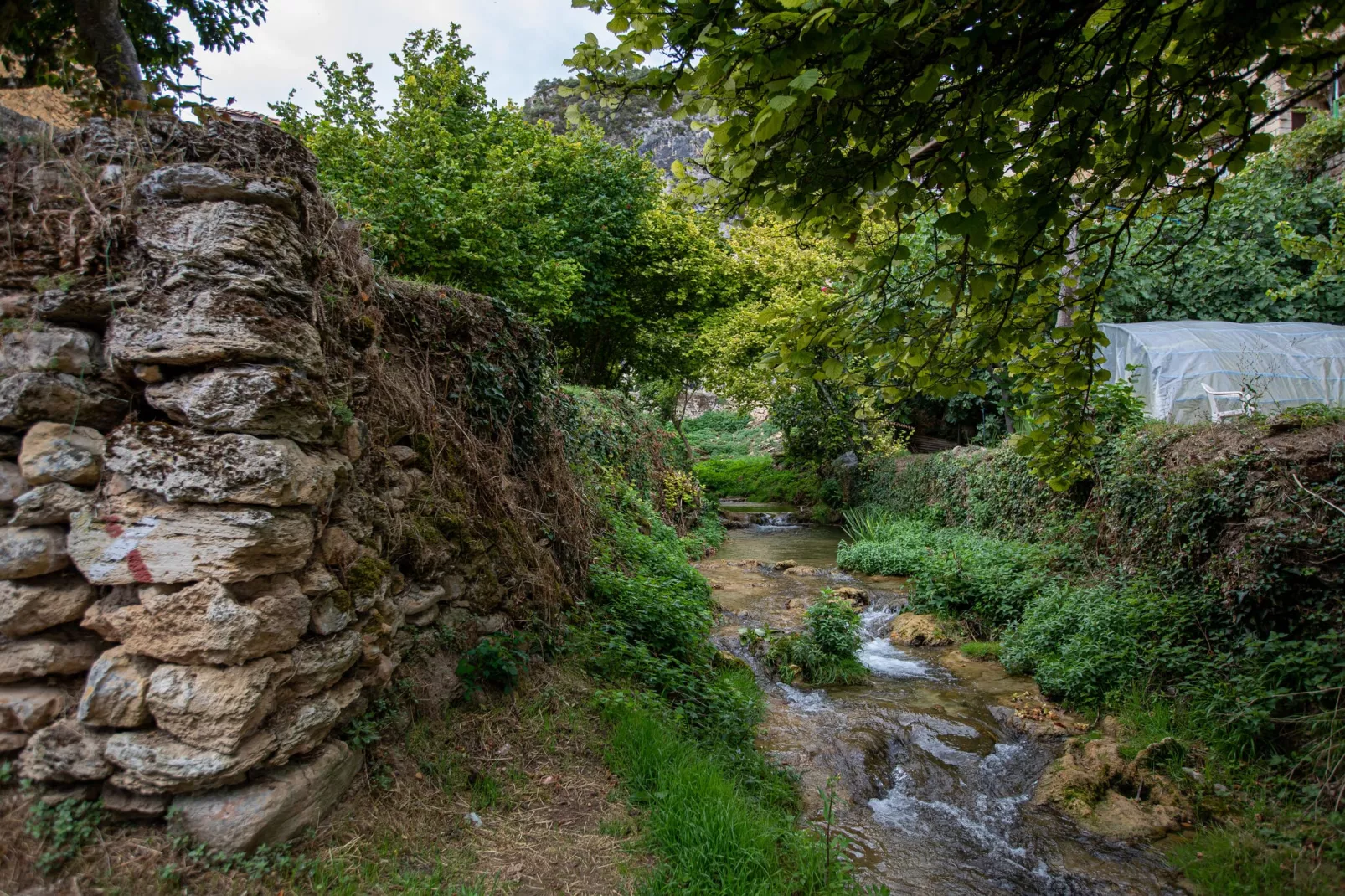 Casa Rural Poza de la Torca II-Gebieden zomer 1km