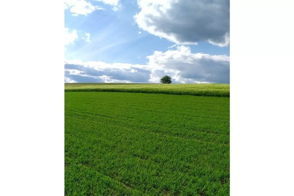 118657-Niet-getagd