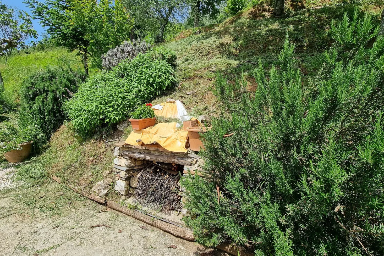 Casa Orbicciano & Nido d'amore - Faciliteiten
