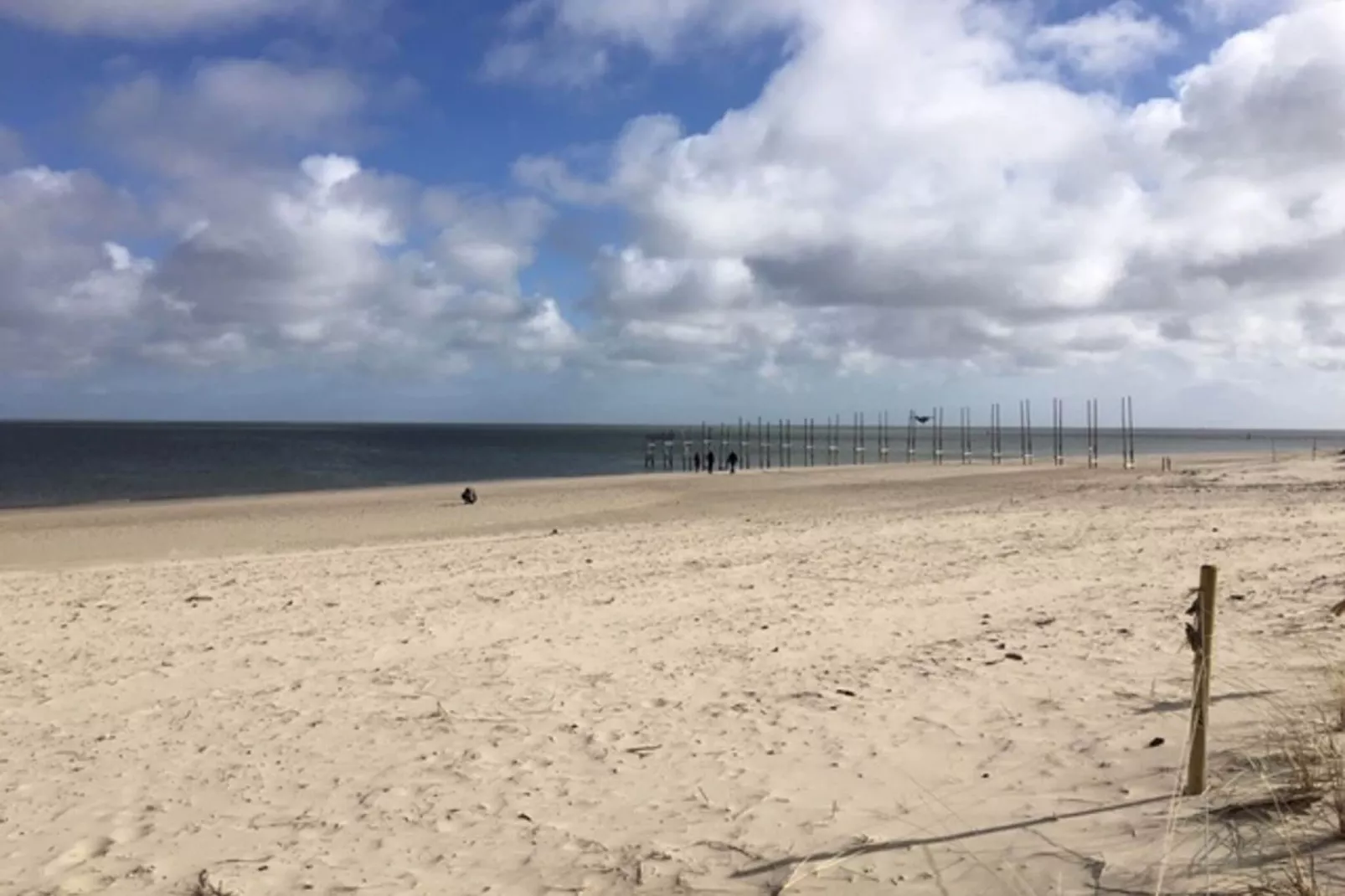 Stoeterij C65-Gebieden zomer 1km