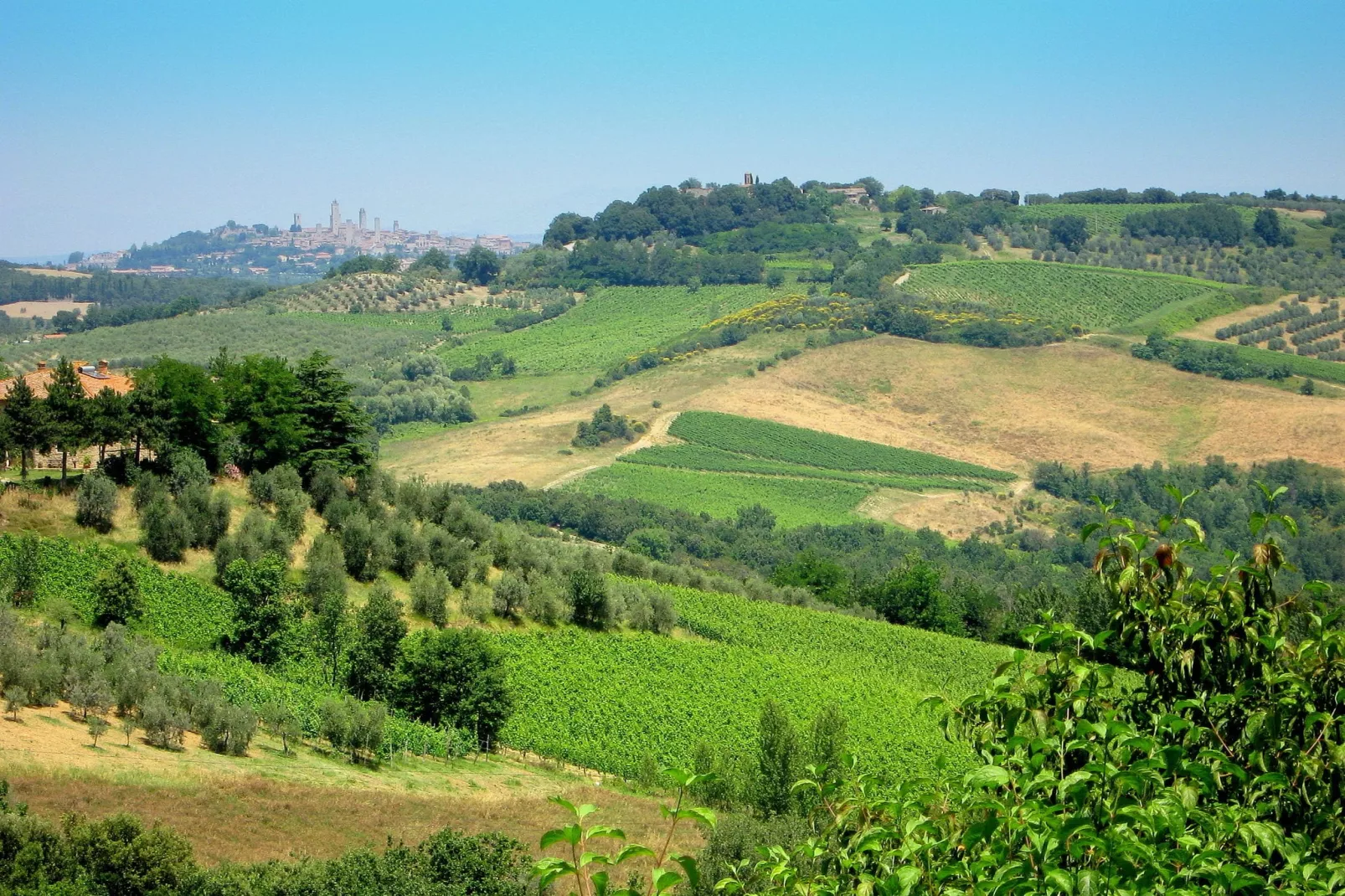 Il Piccolo Casale-Gebieden zomer 5km