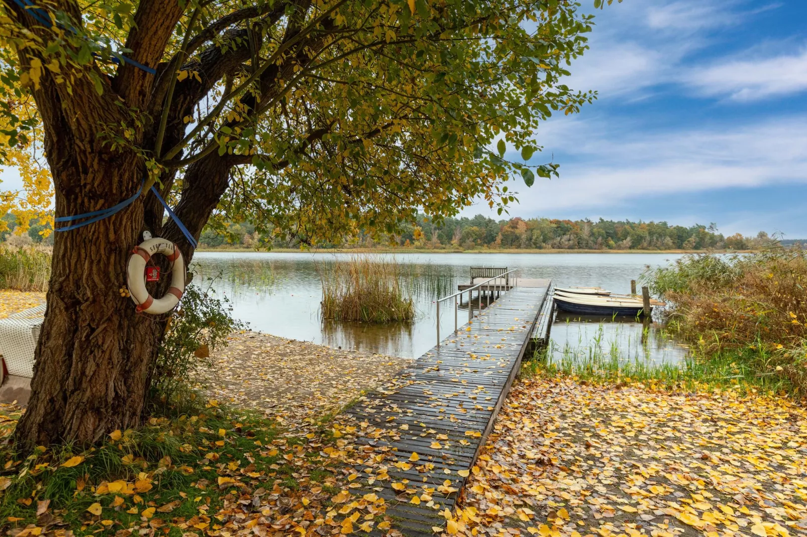 Hundefreundliches Ferienhaus am See MIT Whirlpool-Gebieden zomer 1km