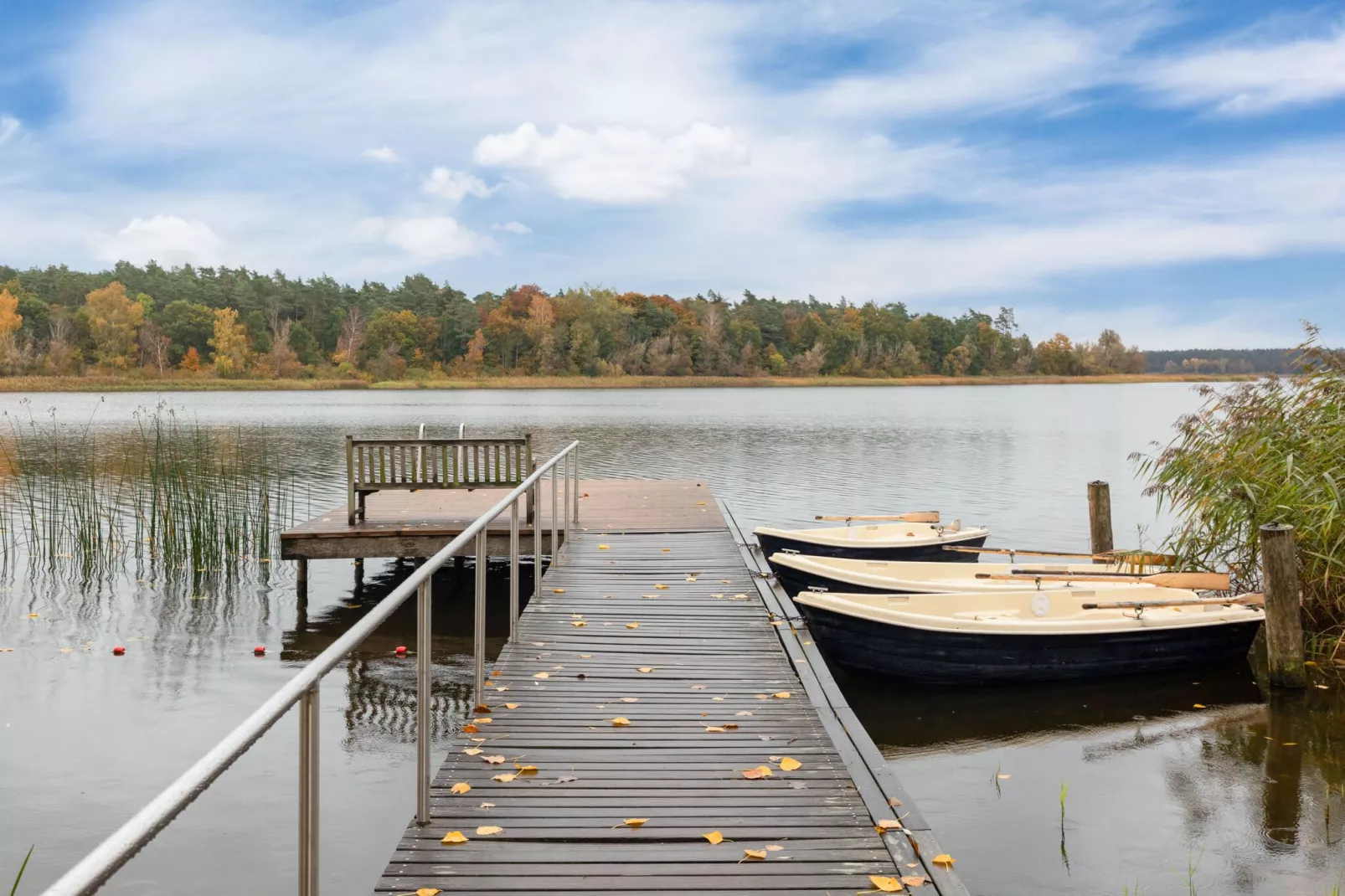 Hundefreundliches Ferienhaus am See MIT Whirlpool-Gebieden zomer 1km