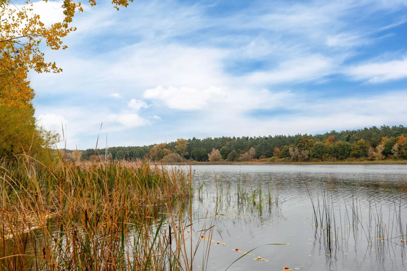 Hundefreundliches Ferienhaus am See MIT Whirlpool-Gebieden zomer 1km