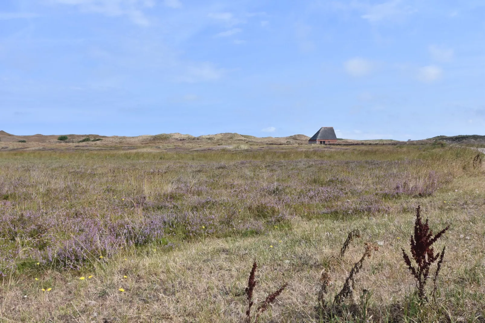 Bungalow Roggesloot A-8a-Gebieden zomer 20km