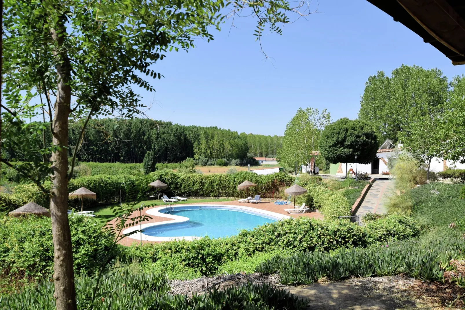 Cueva 1 bedroom-Zwembad