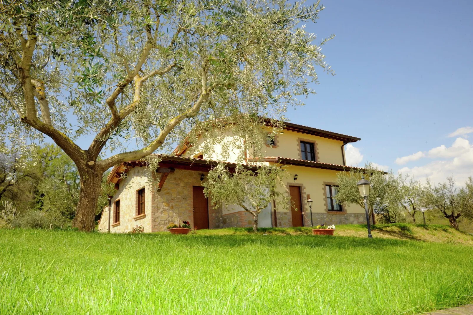 Il Mandorlo