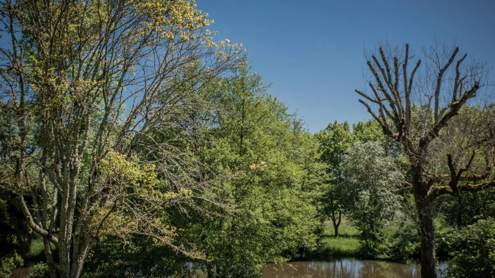 Gîte Côté Rivière-Waterzicht