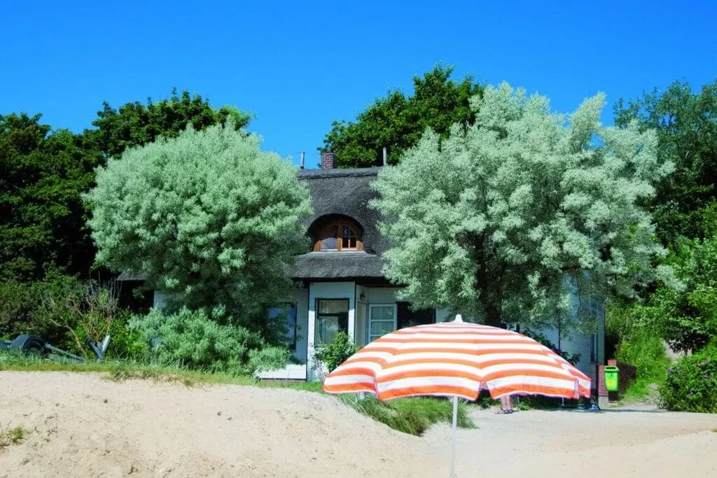 exteriorsummer
