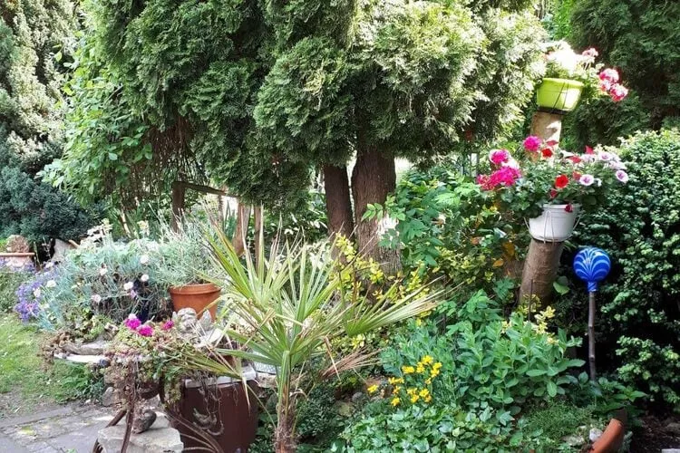 Ferienhaus Wernigerode-Tuinen zomer