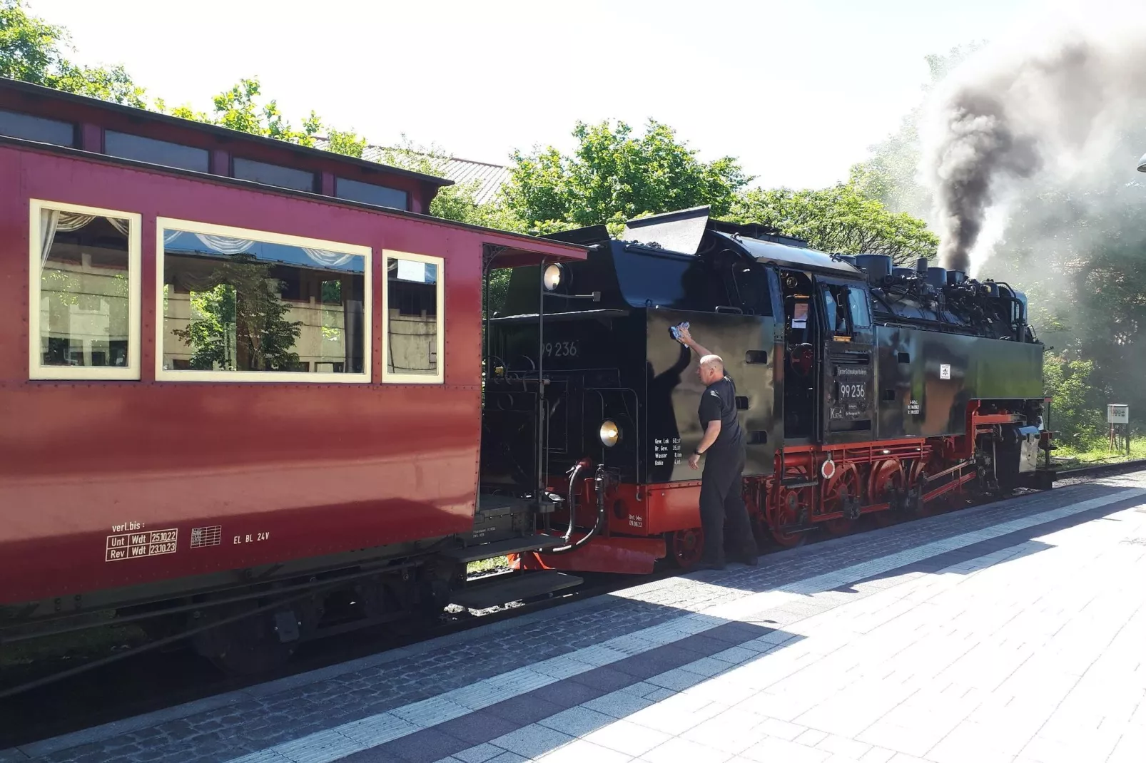 Ferienhaus Wernigerode-Gebieden zomer 5km