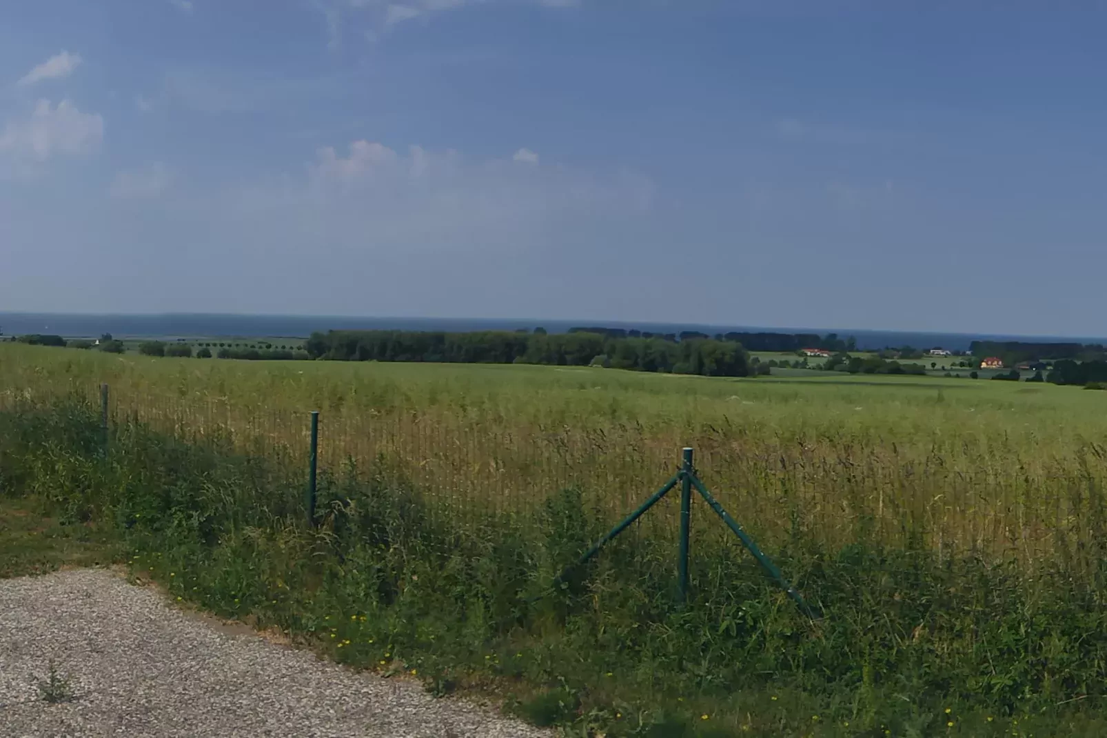 Ferienwohnung mit Leuchtturmblick-Uitzicht zomer