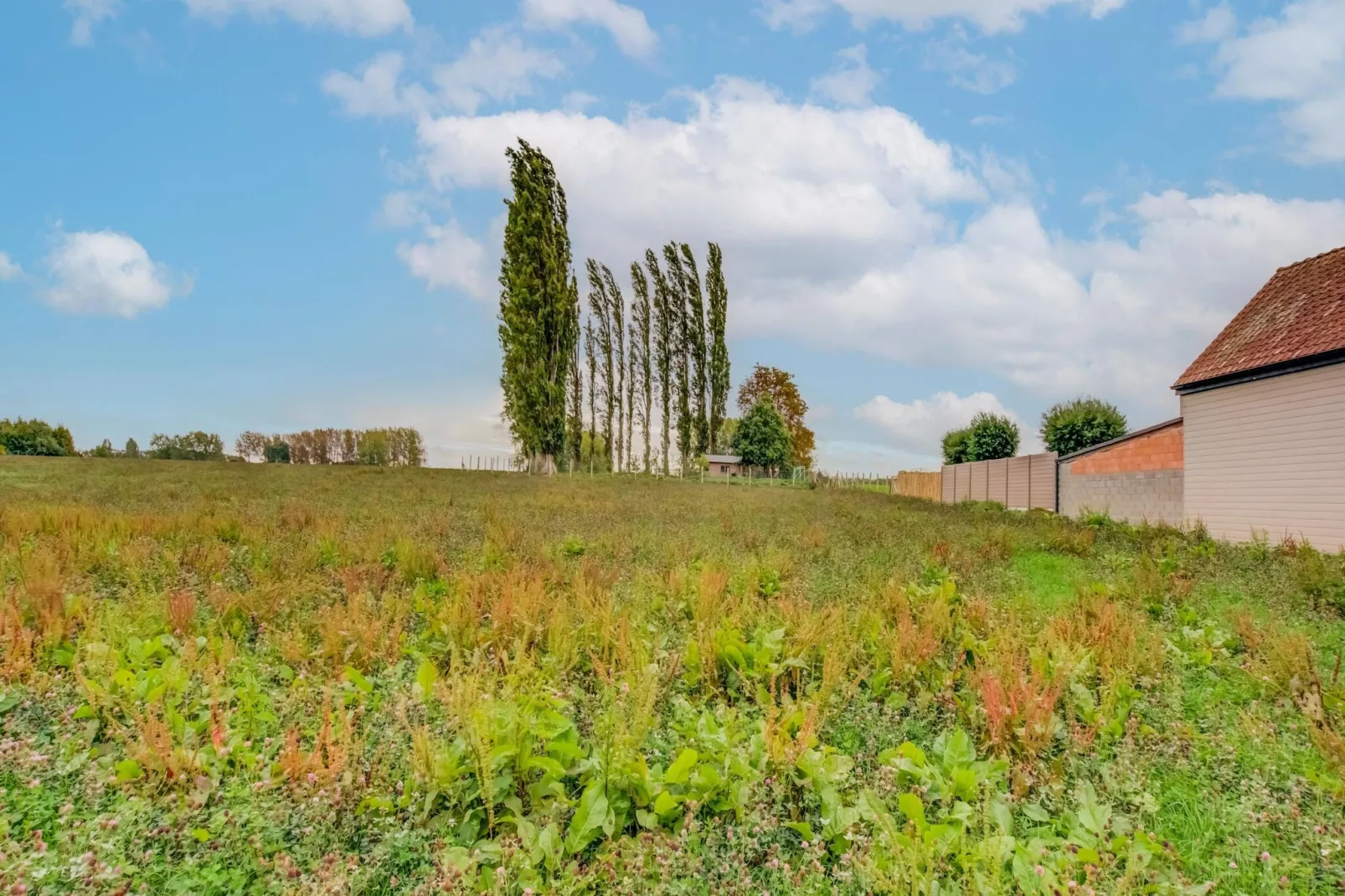Sijpveld-Tuinen zomer