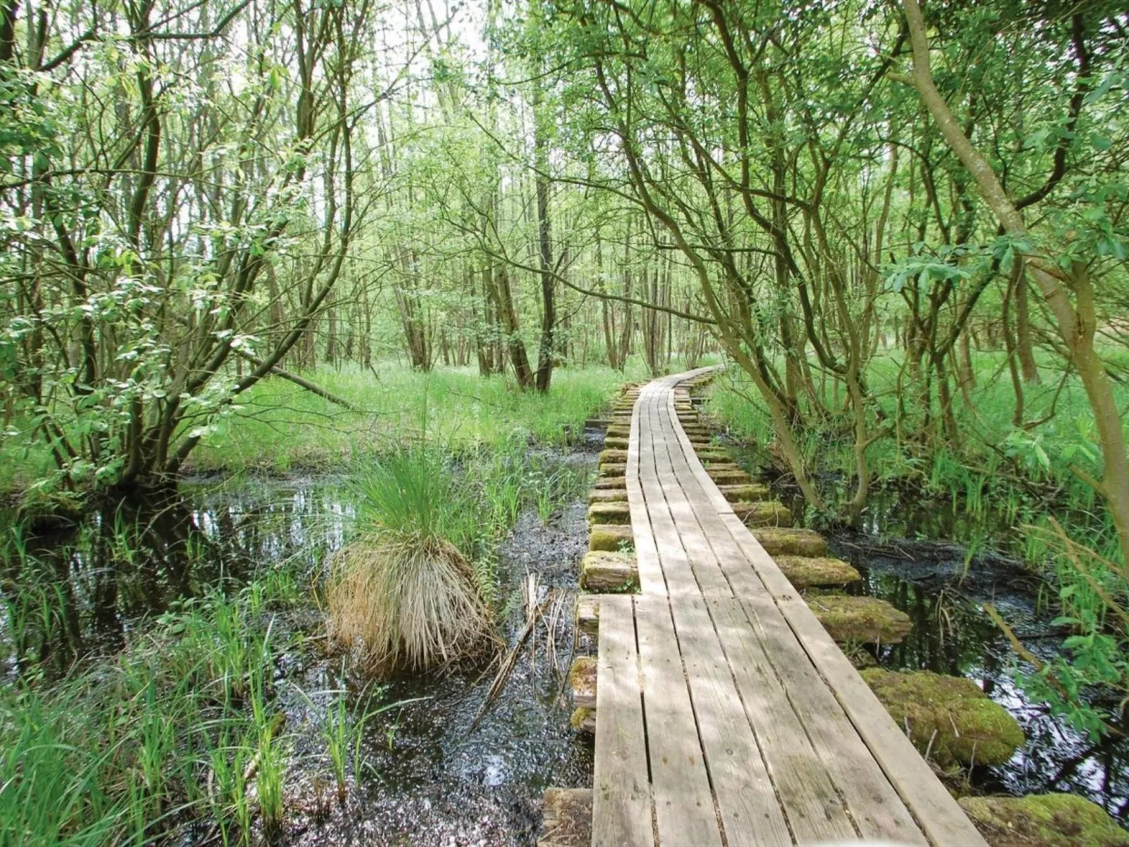 "Isbiorn" - 300m from the sea-Buiten