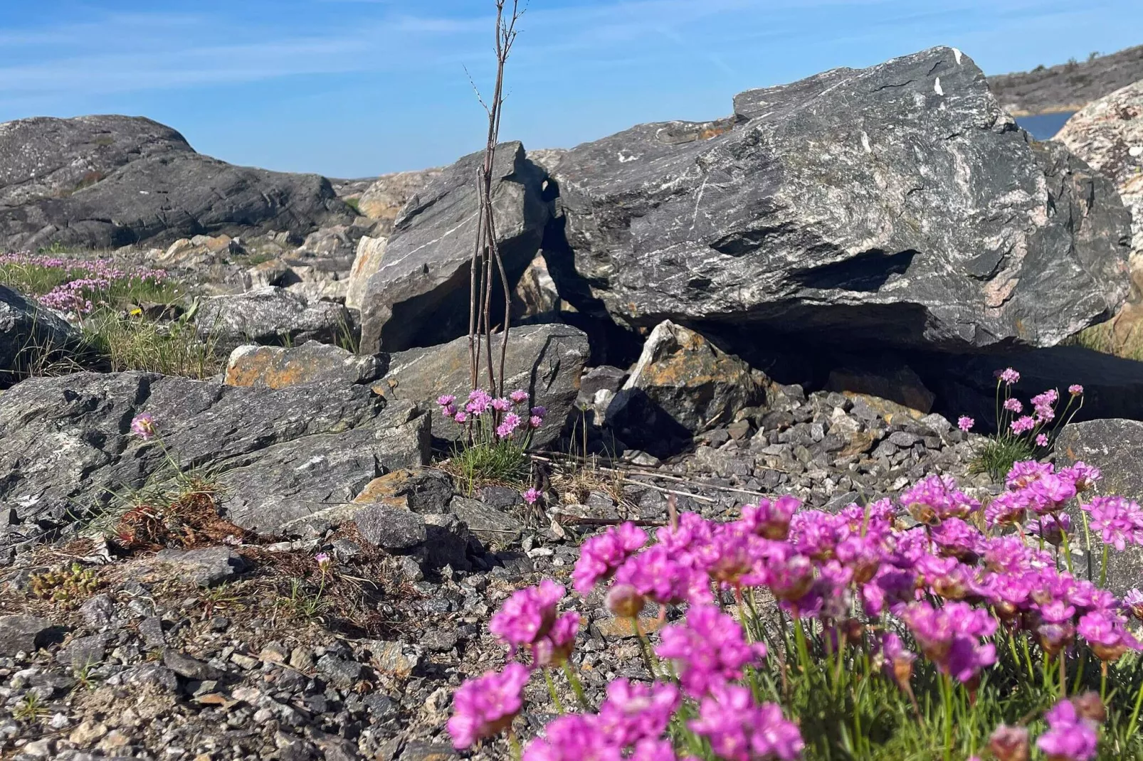 4 persoons vakantie huis in KÄRNA-Buitenlucht