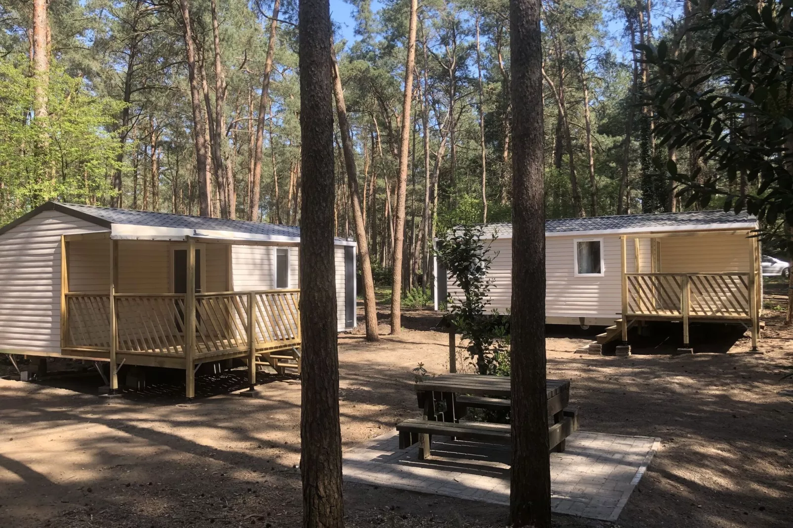 Roodborstje-Buitenkant zomer