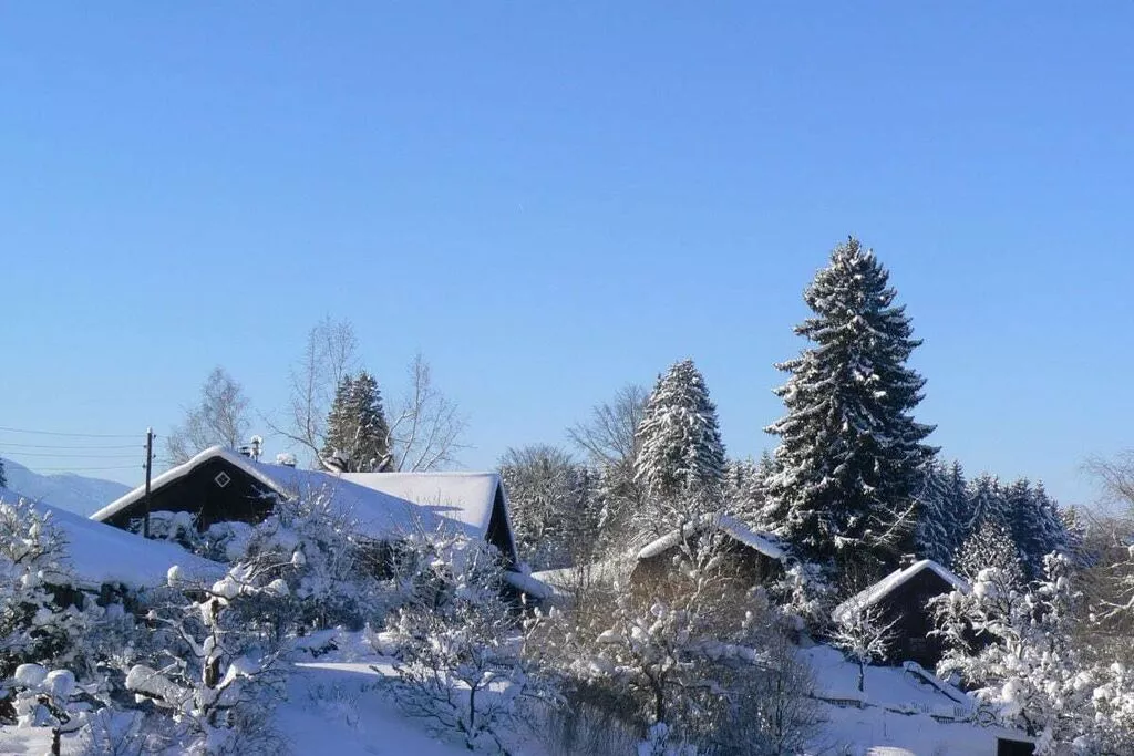 exteriorwinter