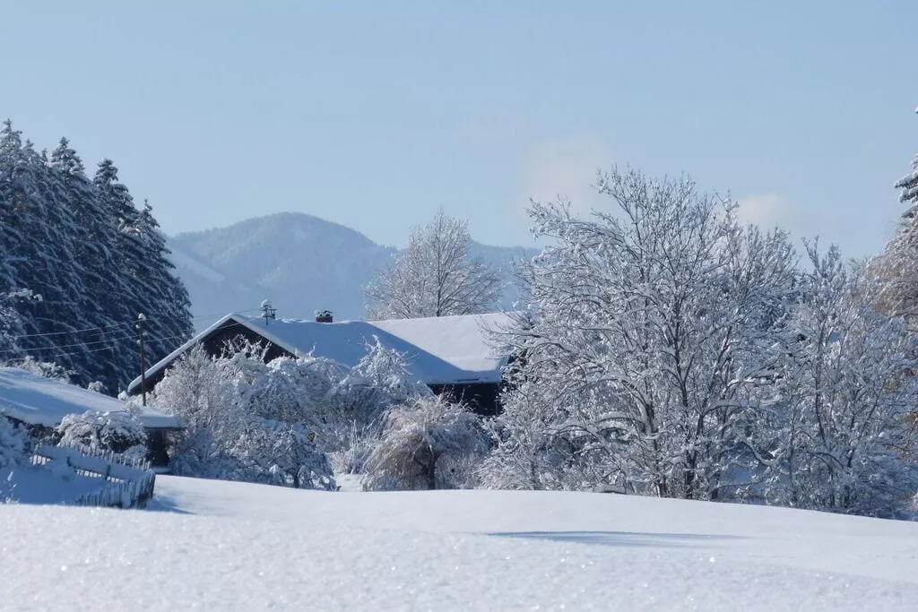 exteriorwinter