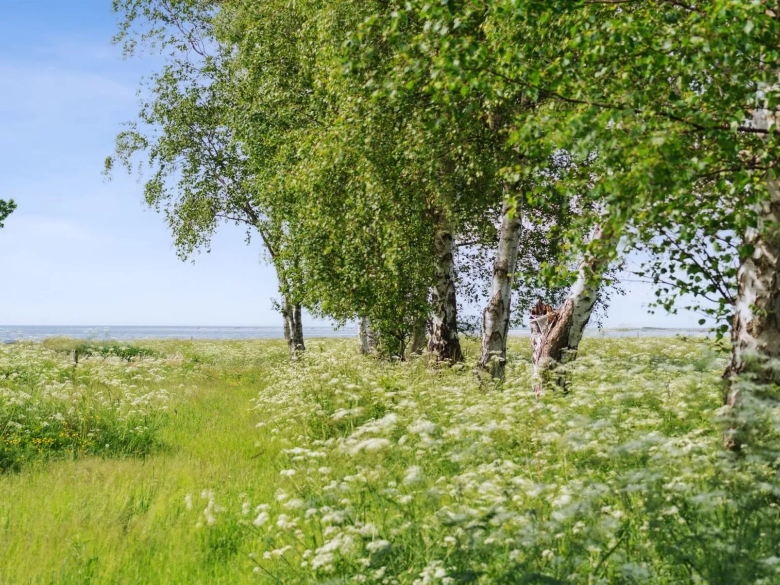 "Sys" - 150m from the sea-Buiten