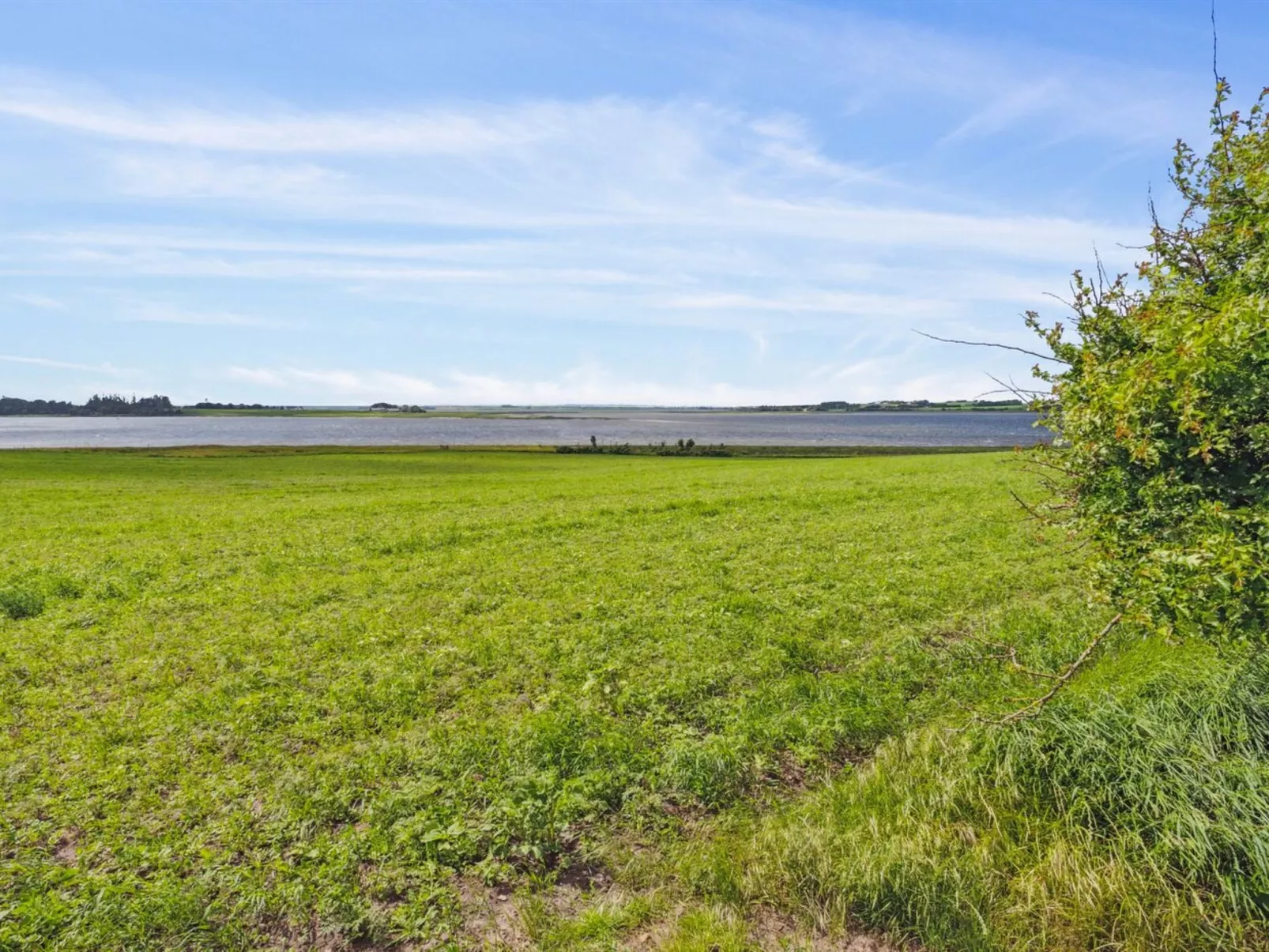 "Månviva" - 150m to the inlet-Buiten