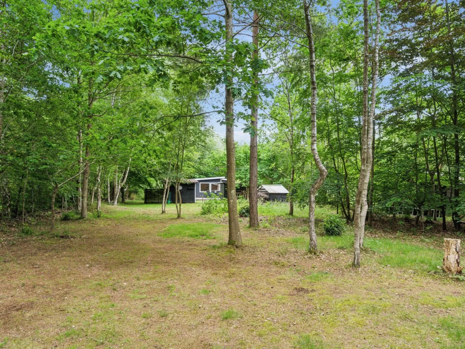 "Herminia" - 800m from the sea-Buiten